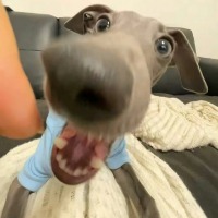 中口